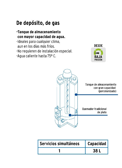 CALENTADOR DE DEPÓSITO 38 L 1 SERVICIO GAS L.P., FOSET